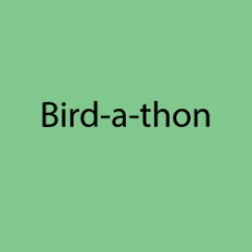 Donate to the PSO Bird-a-thon