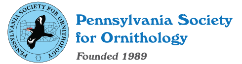 Pennsylvania Society for Ornithology