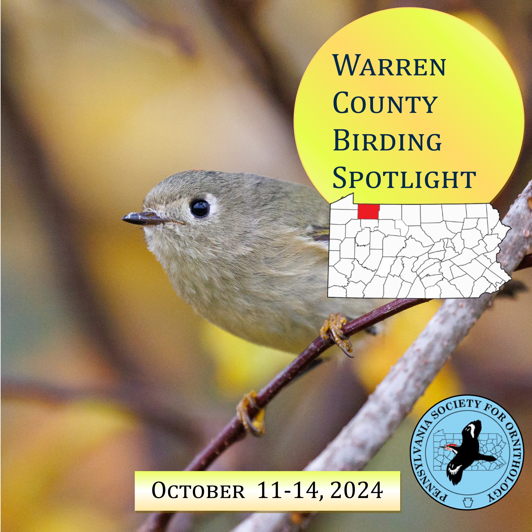 Events PSO – Pennsylvania Society for Ornithology