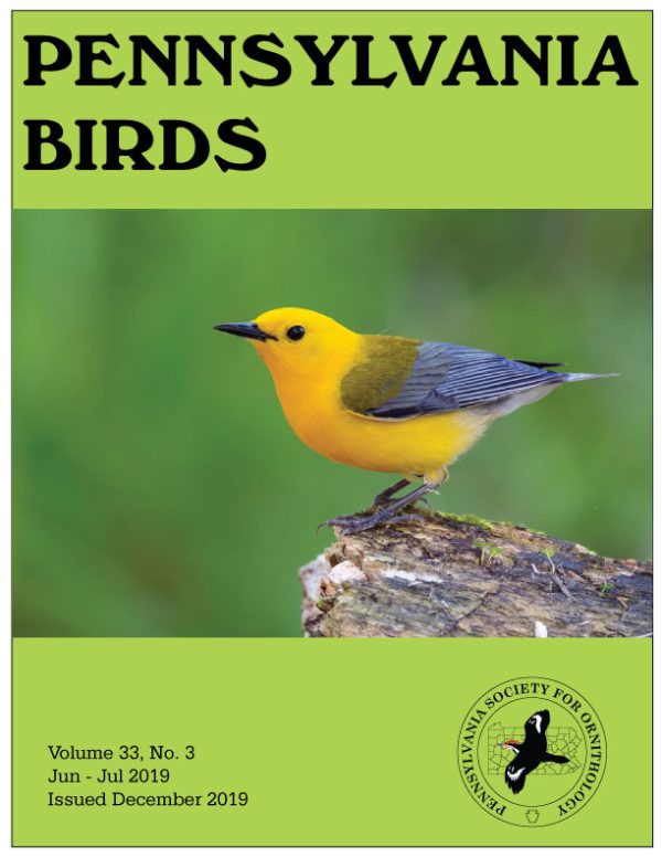 Pennsylvania Birds – Non-Members – Pennsylvania Society for Ornithology